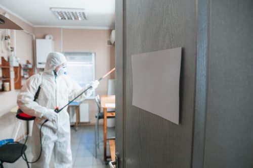 Baratas em Casa Descubra Maneiras Eficazes de se Livrar Delas